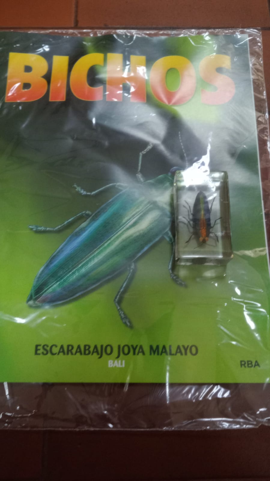 BICHOS 