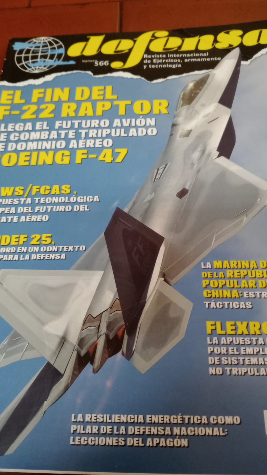 FDS            