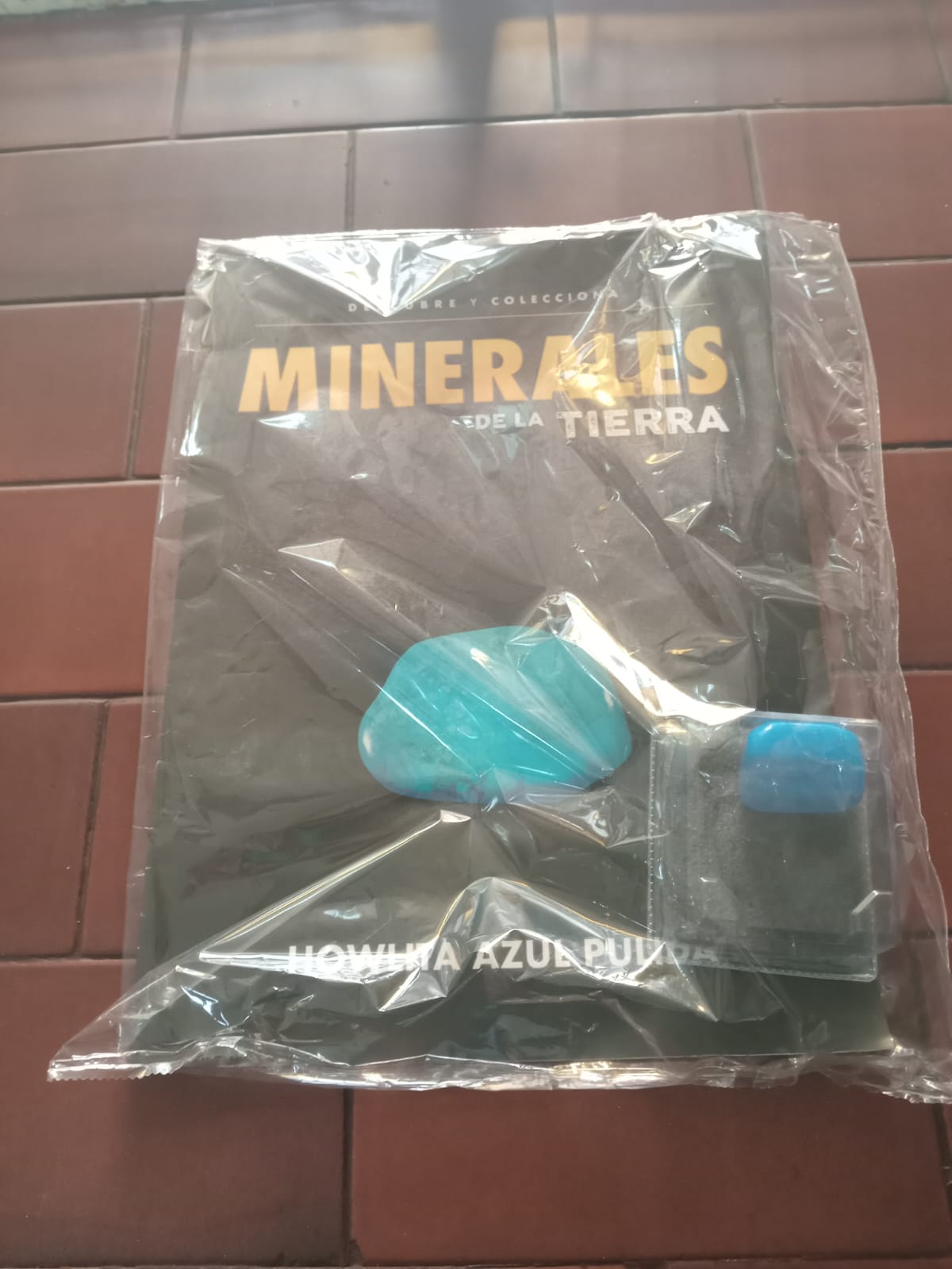 MINERALES Y PIE