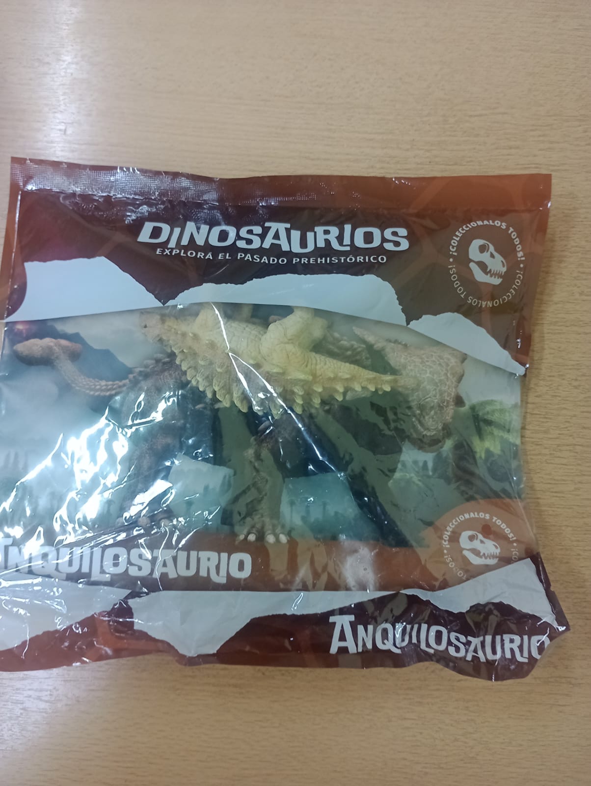DINO EXPLORA.