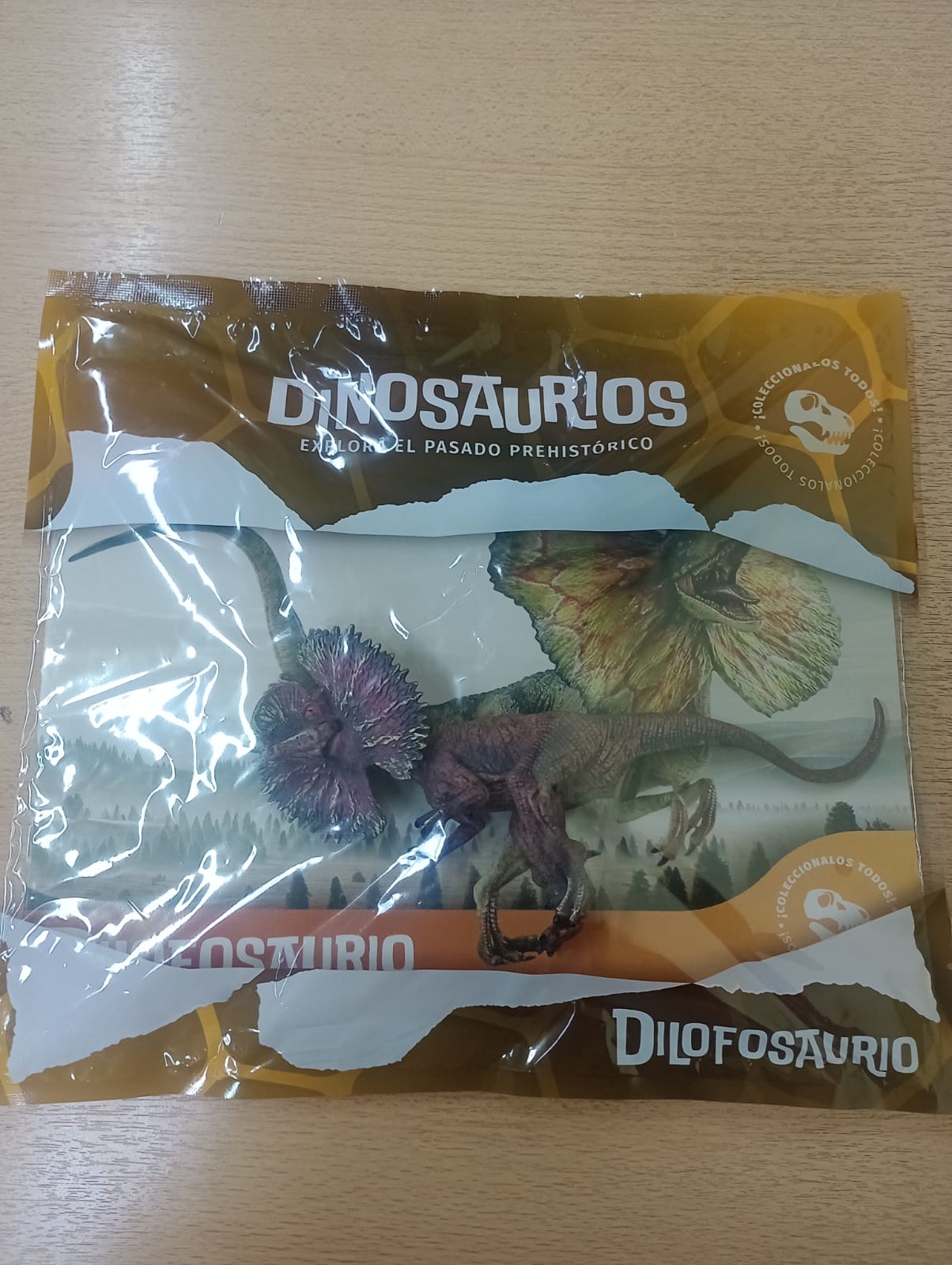 DINO EXPLOR