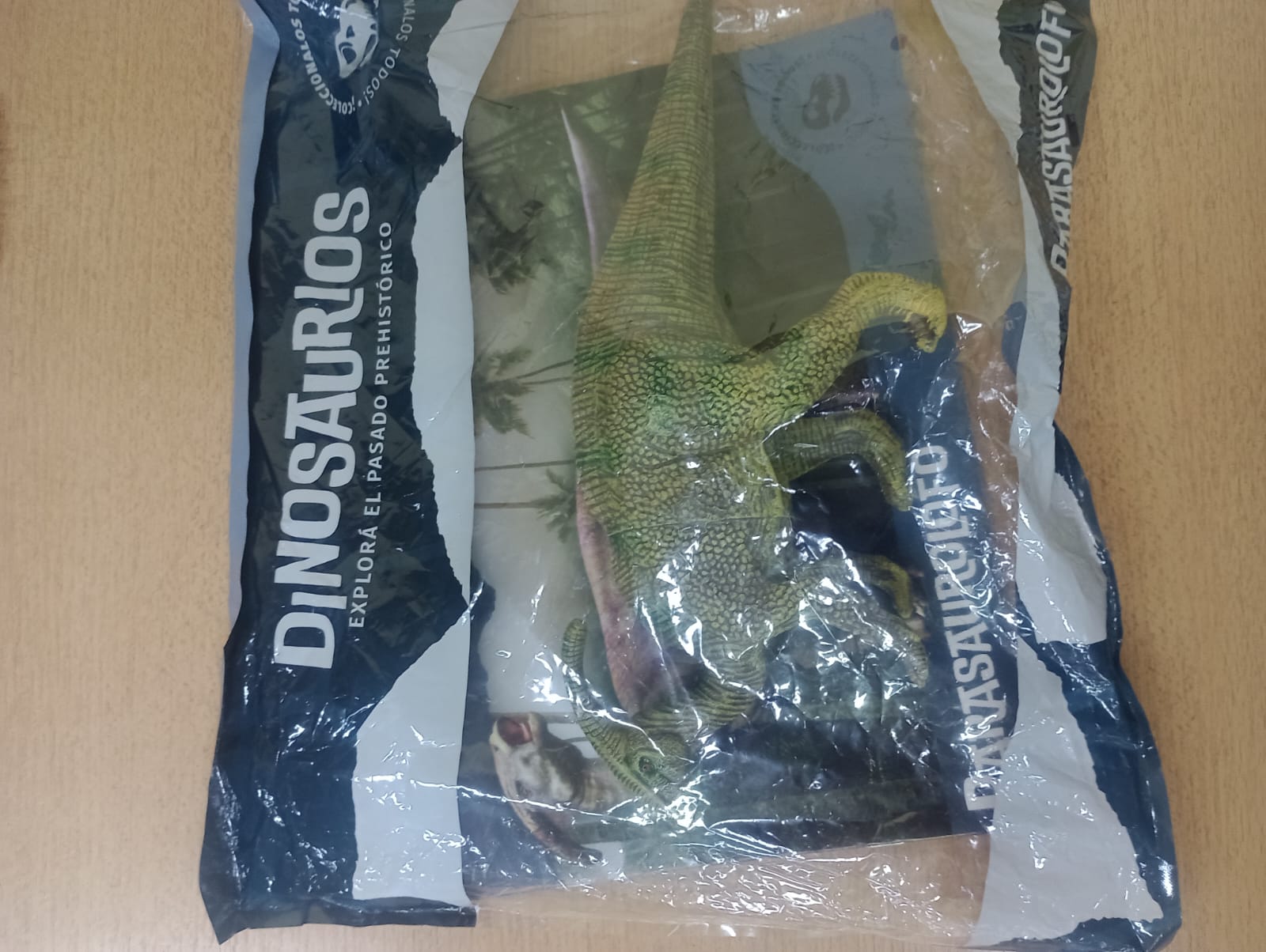 DINO EXPLOR