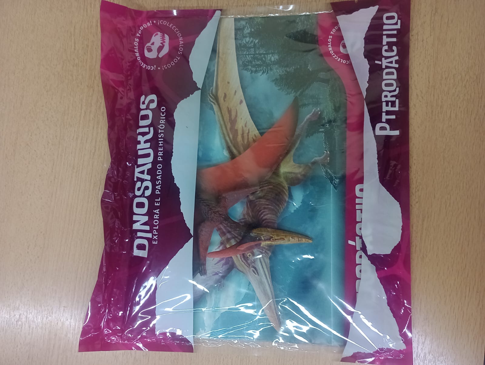 DINO EXPLOR