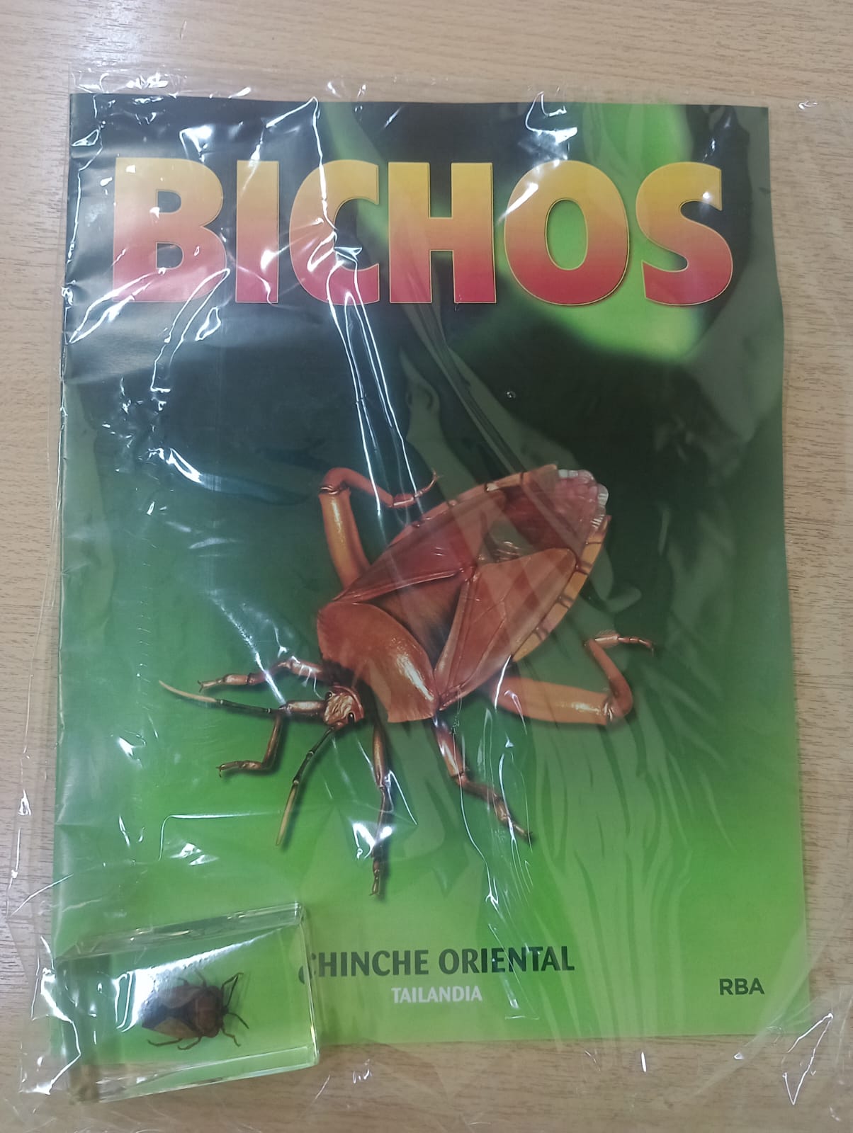 BICHOS 