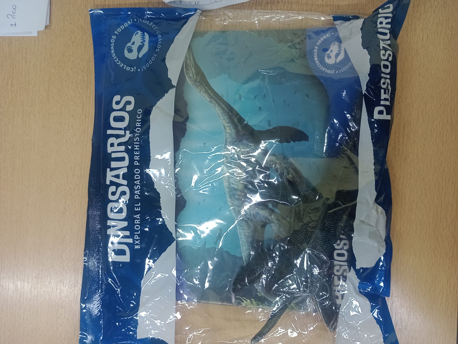 DINO EXPLORA.