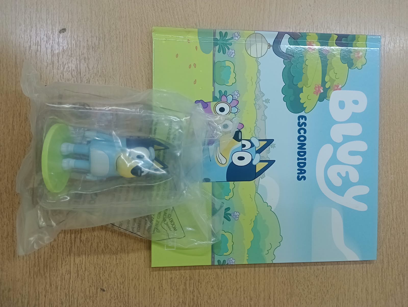 BLUEY R+