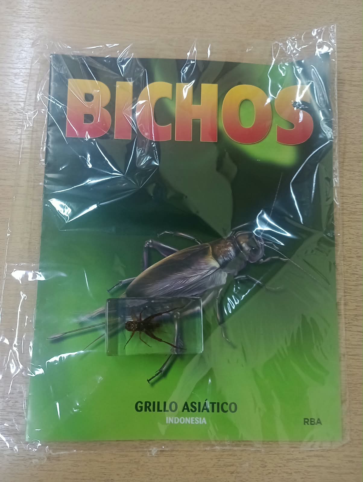 BICHOS 