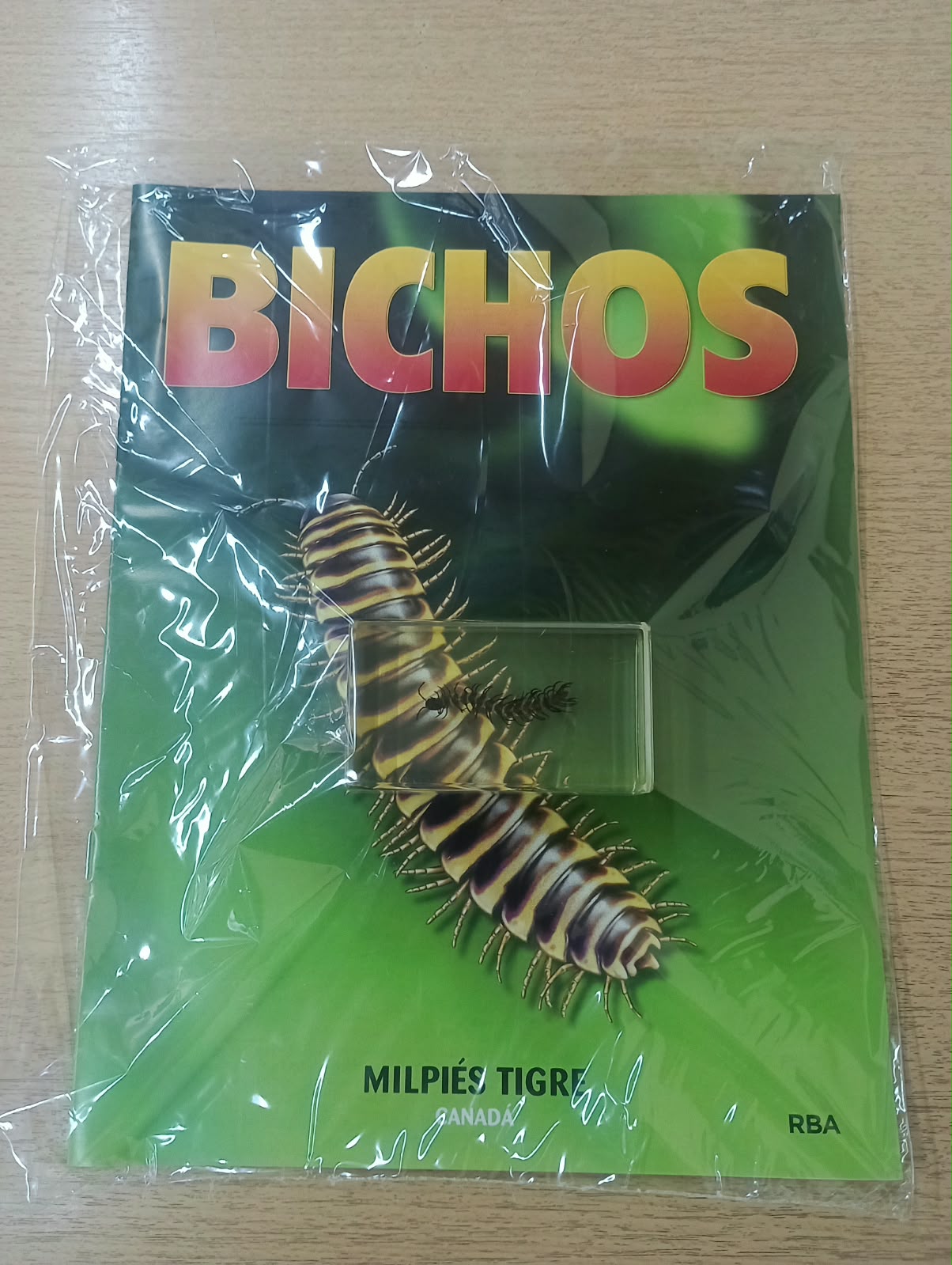 BICHOS 