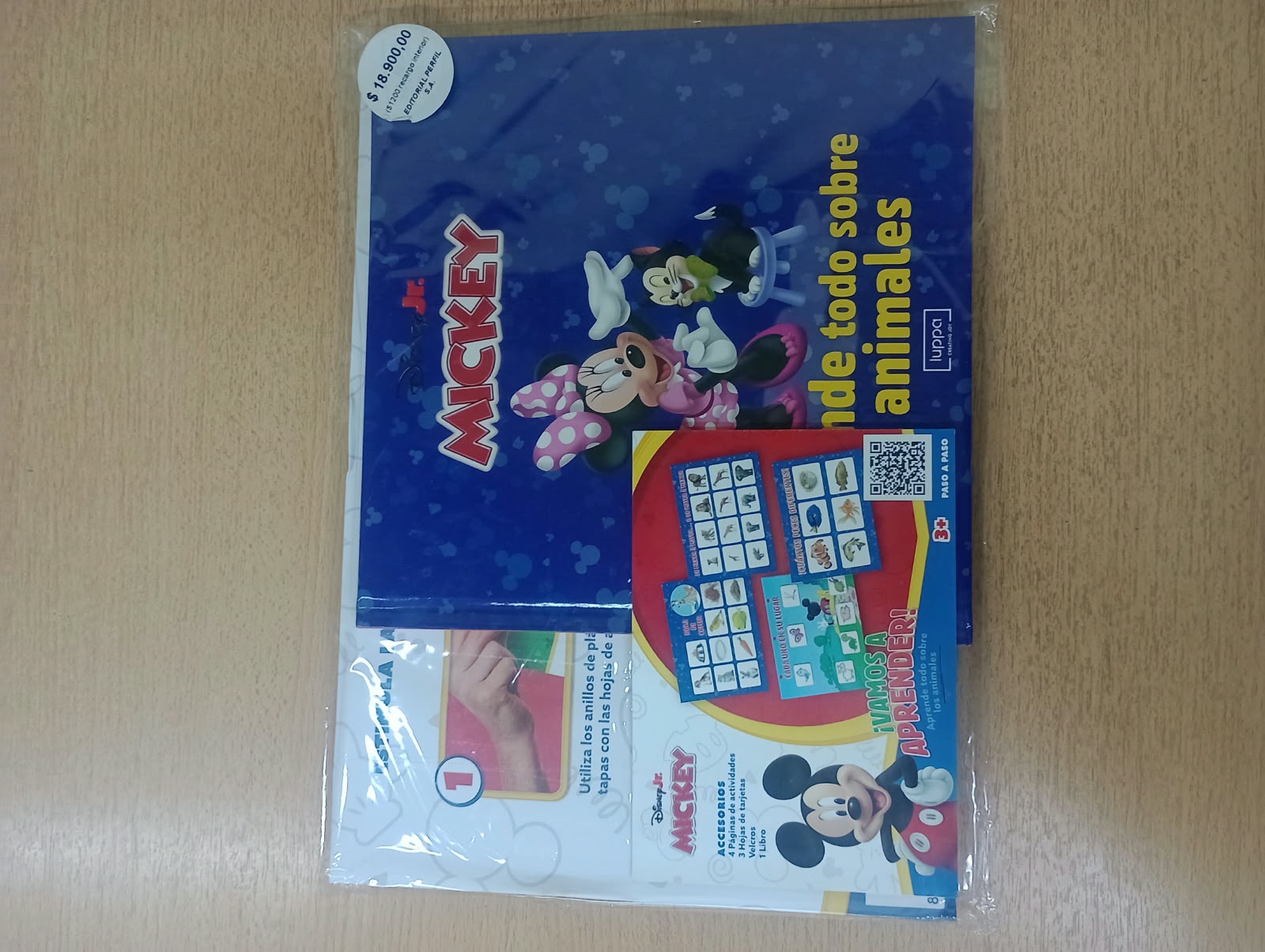 APRENDE MICKEY